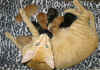 291006a.jpg (48174 tavu(a))