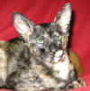 K2-040207.jpg (46397 tavu(a))
