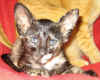 K2-101206.jpg (49603 tavu(a))