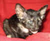K3-101206.jpg (41909 tavu(a))