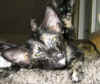 K4-040207.jpg (40709 tavu(a))