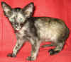K4-261206.jpg (40693 tavu(a))