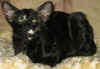 g1-150309a.jpg (34071 tavu(a))