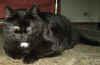 hipi-120805.jpg (24565 tavu(a))