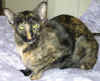 milla-0508.jpg (43376 tavu(a))