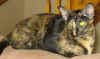milla-170806c.jpg (42002 tavu(a))
