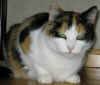 misu-120805.jpg (22070 tavu(a))
