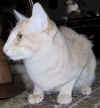 toffo13.JPG (68411 tavu(a))