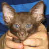 tyti-b2-240908.jpg (39614 tavu(a))