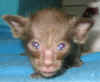 tyti-b3-220808.jpg (31740 tavu(a))