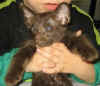 tyti-b3-240908.jpg (40072 tavu(a))